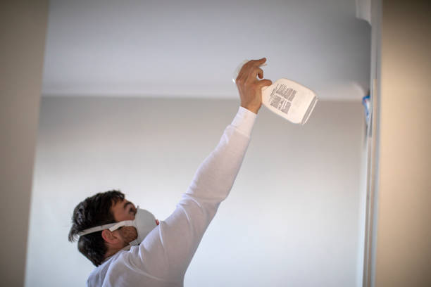 Best Mold Removal Near Me  in Round Rock, TX